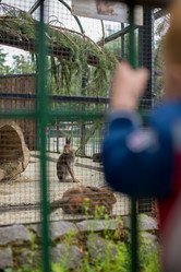 Similar image 21103496