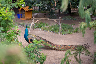 Similar image 21102752