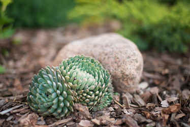 Similar image 21103499