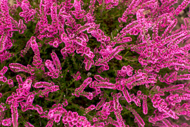 Similar image 21113687