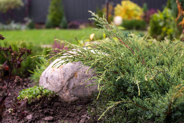 Similar image 21103501