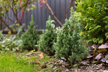 Similar image 21104226