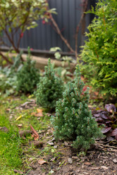 Similar image 21103502