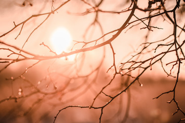 Similar image 21104580