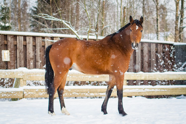 Similar image 21102753