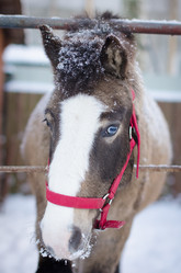 Similar image 21102754