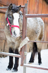 Similar image 21102755