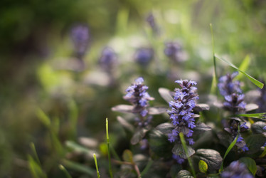 Similar image 21102756