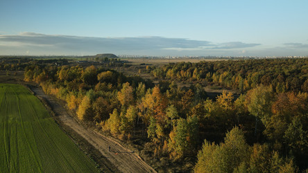 Similar image 21104228