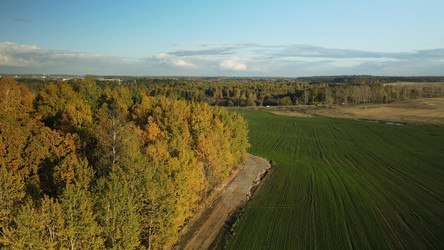 Similar image 21104236