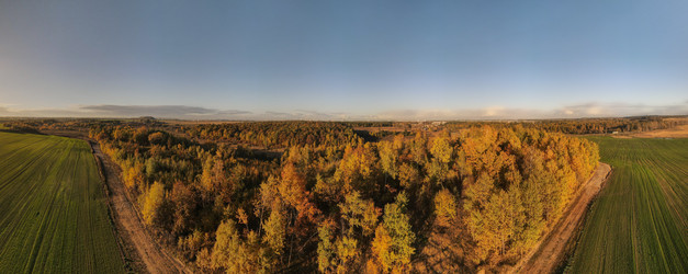 Similar image 21104237