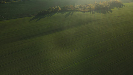 Similar image 21104238