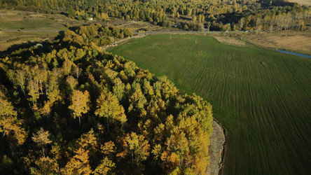 Similar image 21104239