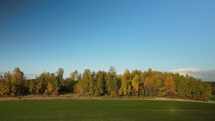 Similar image 21104242