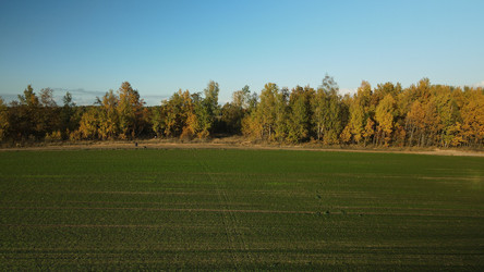 Similar image 21104244