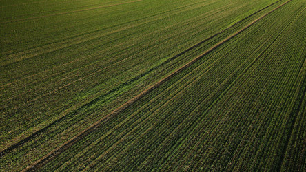 Similar image 21104248