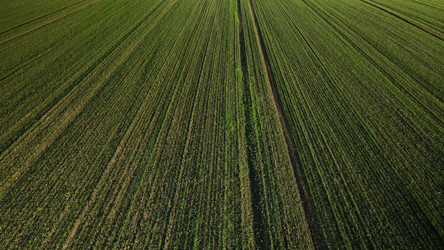 Similar image 21104249