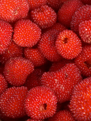 Similar image 21104124