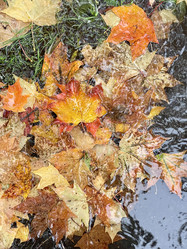 Similar image 21104126