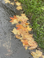 Similar image 21104127