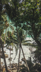 Similar image 21104257