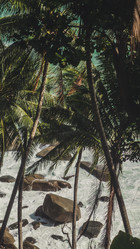 Similar image 21104258