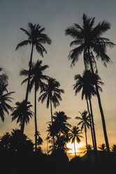 Similar image 21104259