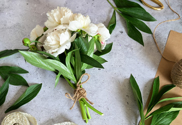 Similar image 21103577