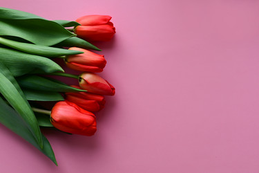 Similar image 21103579