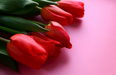 Similar image 21103580