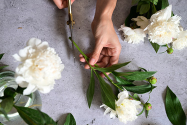 Similar image 21103581