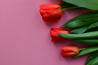 Similar image 21103583