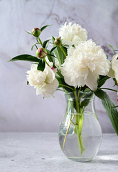 Similar image 21103584