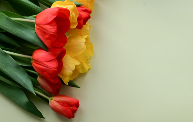 Similar image 21103586