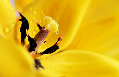 Similar image 21103590