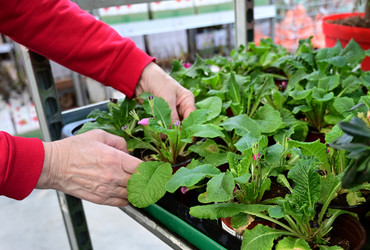 Similar image 21103608