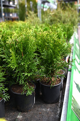 Similar image 21103613