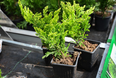 Similar image 21103614