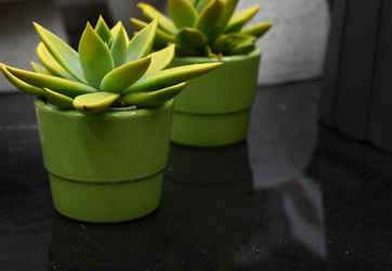 Similar image 21103616