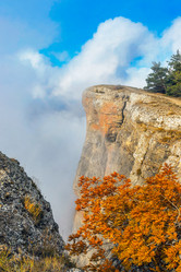 Similar image 21104039