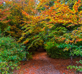 Similar image 21104040