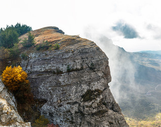 Similar image 21104043