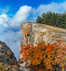 Similar image 21104045