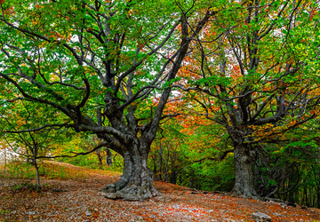 Similar image 21104046