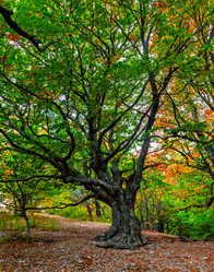 Similar image 21104048