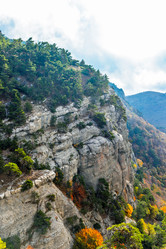 Similar image 21104053