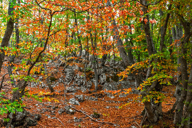 Similar image 21104056