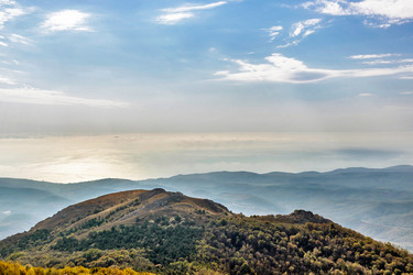 Similar image 21104058