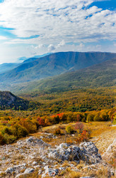 Similar image 21104060