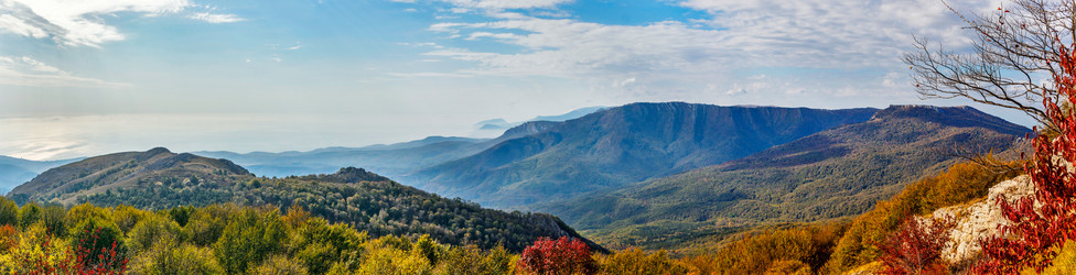 Similar image 21104063